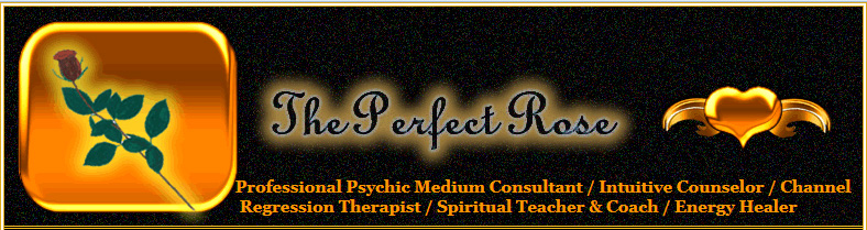 The Perfect Rose Header 2014